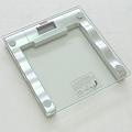 Bathroom Scale