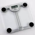 Bathroom Scale