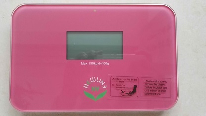 NewlineNY Green Mini Bathroom Travel Scale with Protection Sleeve SBB0719MLG+101BG 